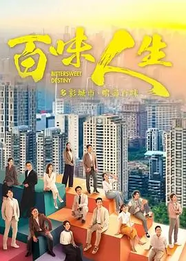 雾港回声 电视剧封面